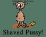 SHAVED~1.jpg